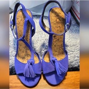 💕 Ann Taylor Loft Tassel Suede Heels